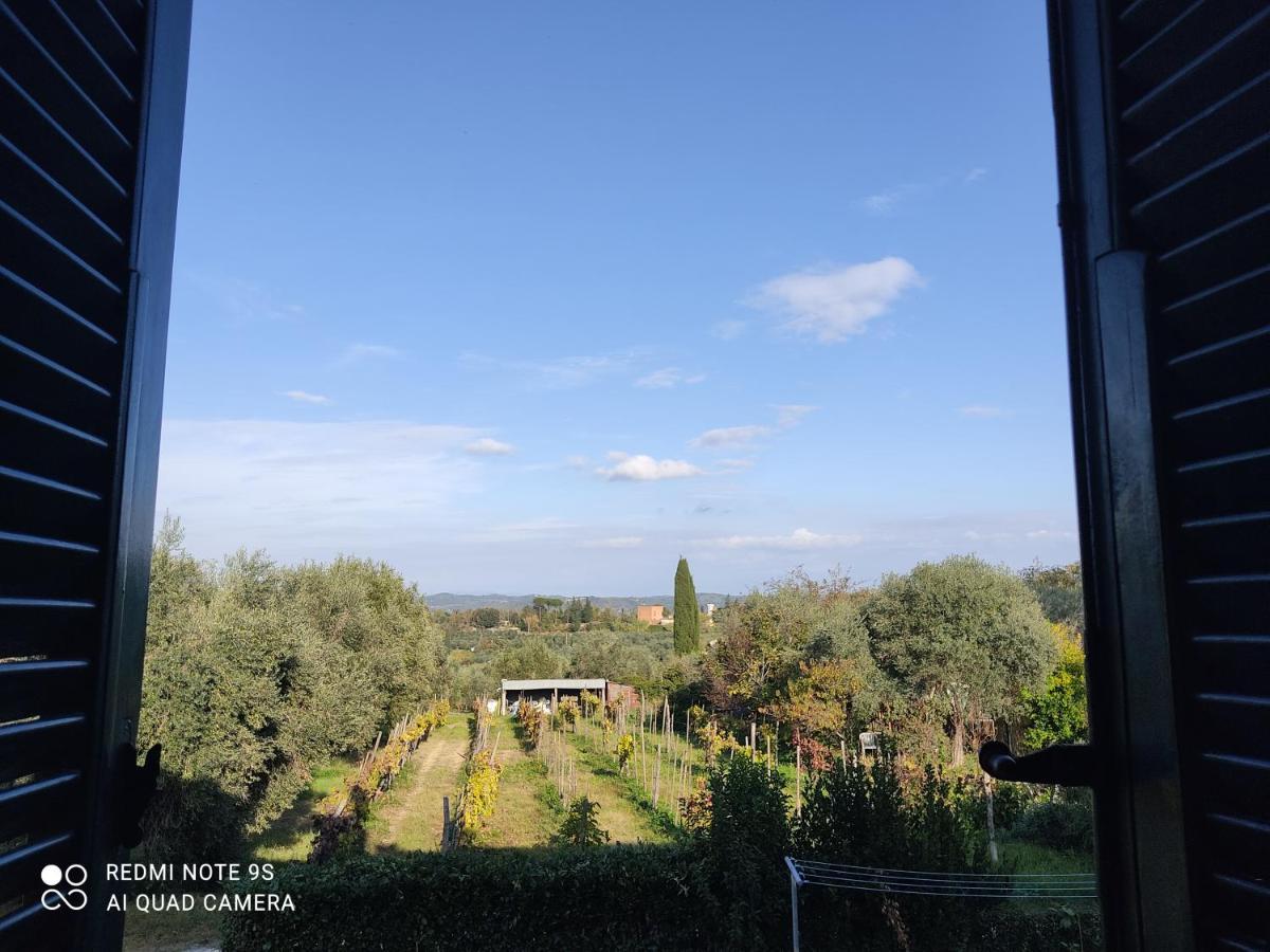 Holiday House I Colli Pisani Daire Capannoli Dış mekan fotoğraf
