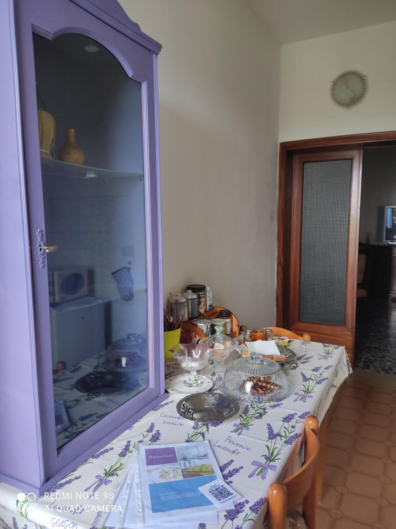 Holiday House I Colli Pisani Daire Capannoli Dış mekan fotoğraf